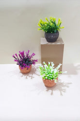 Mini flower pots